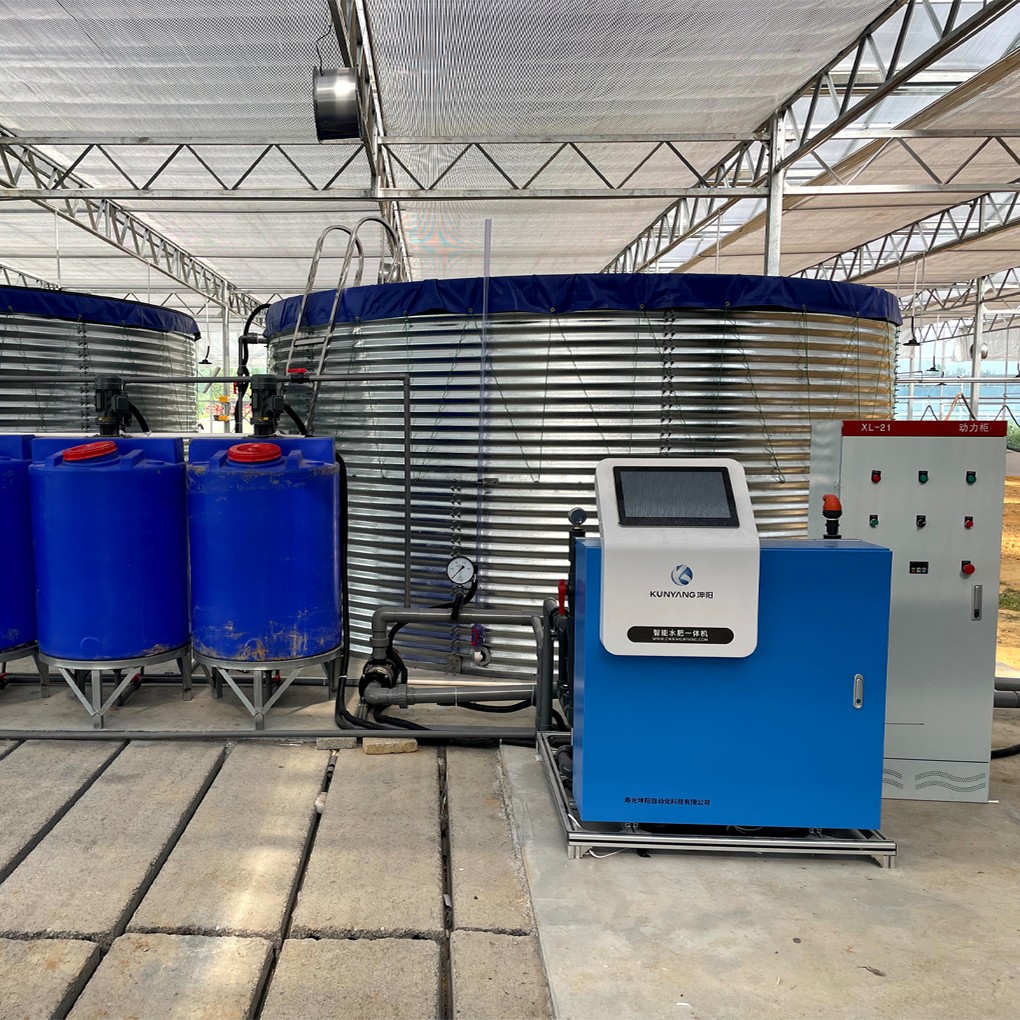 重庆秀山连栋薄膜蔬菜种植项目